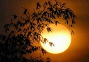 Chùm thơ Nguyễn Đông Nhật