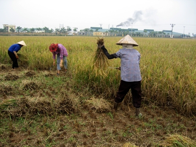 Bao giờ phim tài liệu hết là “phim dọn bãi”? 