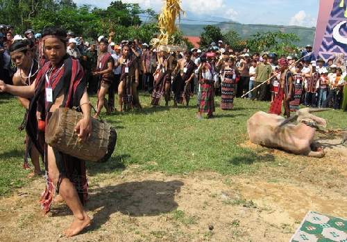 Lễ hội mừng mùa A Riêu với nghi thức đâm trâu truyền thống 