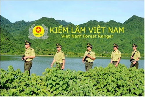 Xanh những cánh rừng