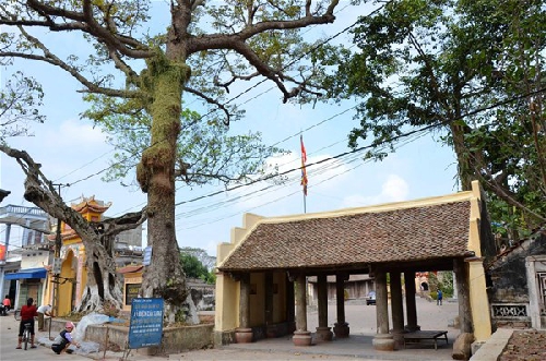 Nối dài sợi tơ Cổ Chất