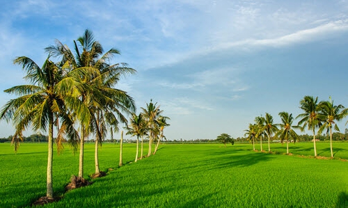 Chùm thơ Bạch Diệp