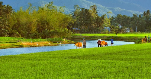 Chùm thơ Trần Thương Tính