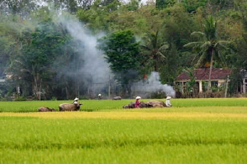 Chùm thơ Dương Thắng