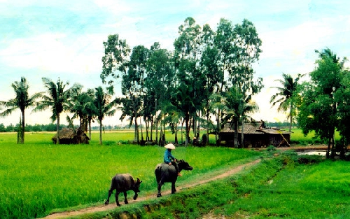 Chùm thơ Trần Quang Phong