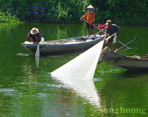 Ngự Hà - Sự hồi sinh kỳ diệu