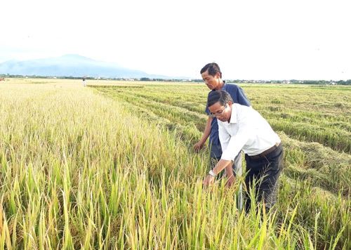 Đất đai này _ Con người này