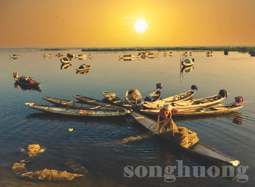 Chùm thơ Đức Sơn