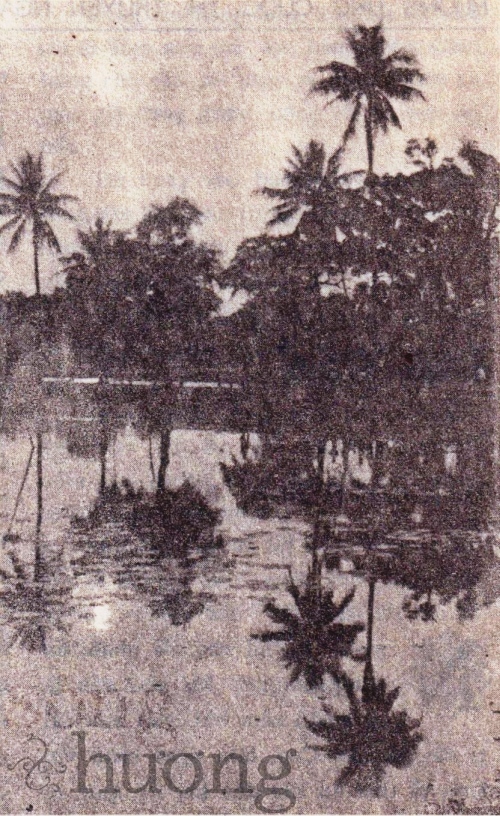 Lão Cao