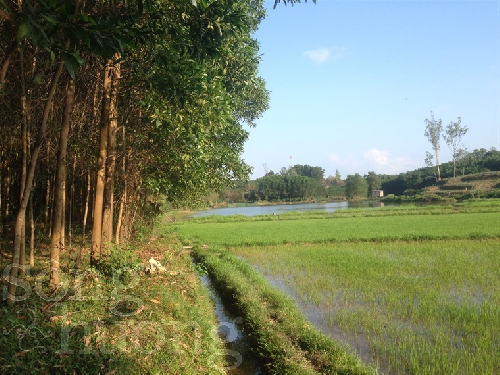 Chùm thơ Ngô Mậu Tình
