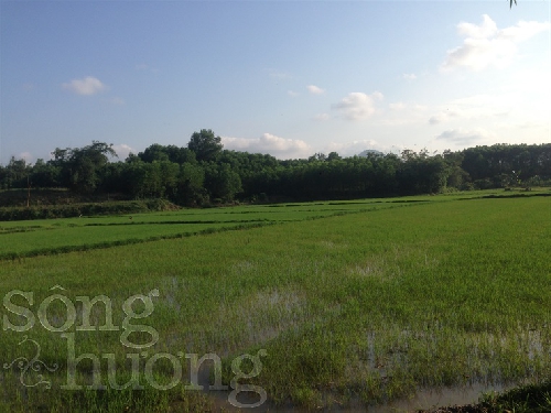 Chùm thơ Trinh Đường