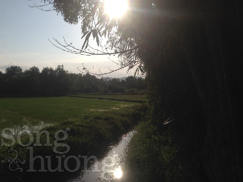 Chùm thơ Lê Nhi