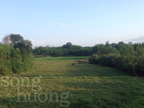 Chùm thơ Lê Vi Thủy