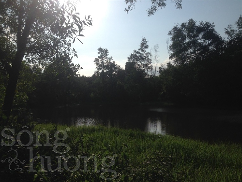 Người về
