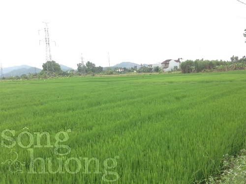 Chùm thơ Vĩnh Thông