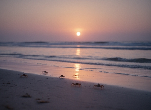 Chùm thơ Huỳnh Trâm