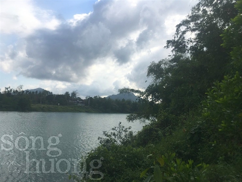 Cỏ ướt miền sông Thơm