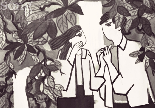 Vọng âm mùa mới