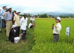 Bỗng nhiên tôi cụt hứng