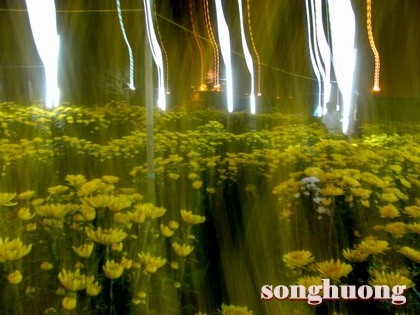 Trang thơ Xuân Tân Mão 2-2011